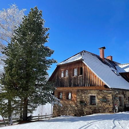 Apartments Im Almhaus Bachler Gundisch Екстер'єр фото