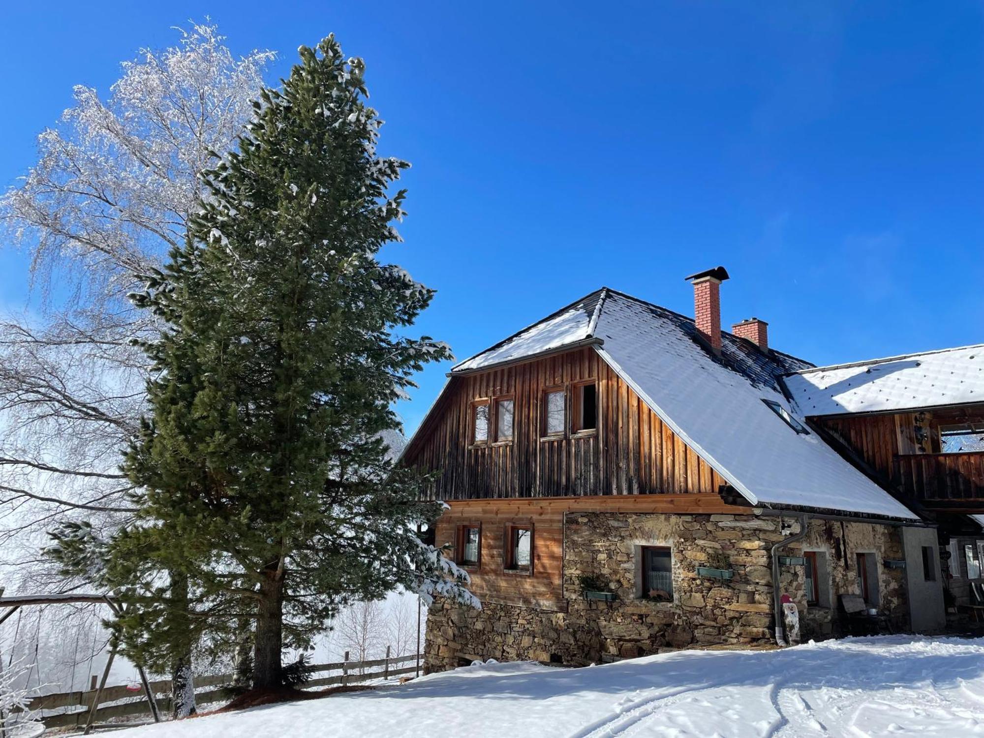 Apartments Im Almhaus Bachler Gundisch Екстер'єр фото